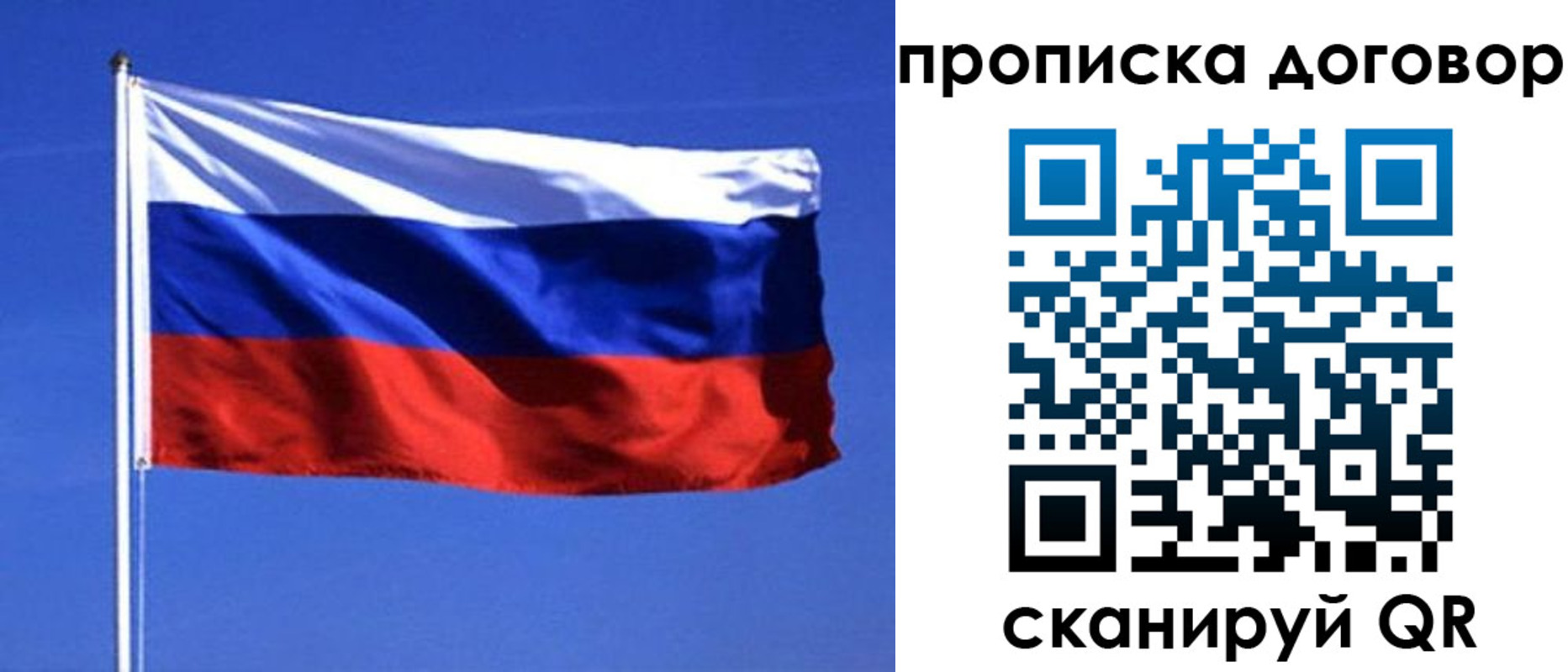 прописка поиск в Шилке